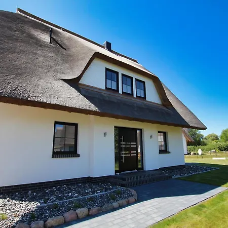 Schatzkiste - A69909 * Dranske